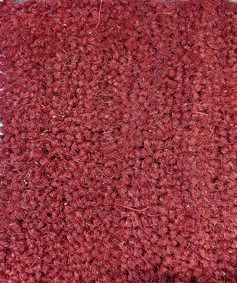 Kookosharjamatto Punainen 16-18 mm