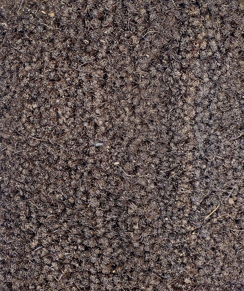 Kookosharjamatto Ruskea 16-18 mm